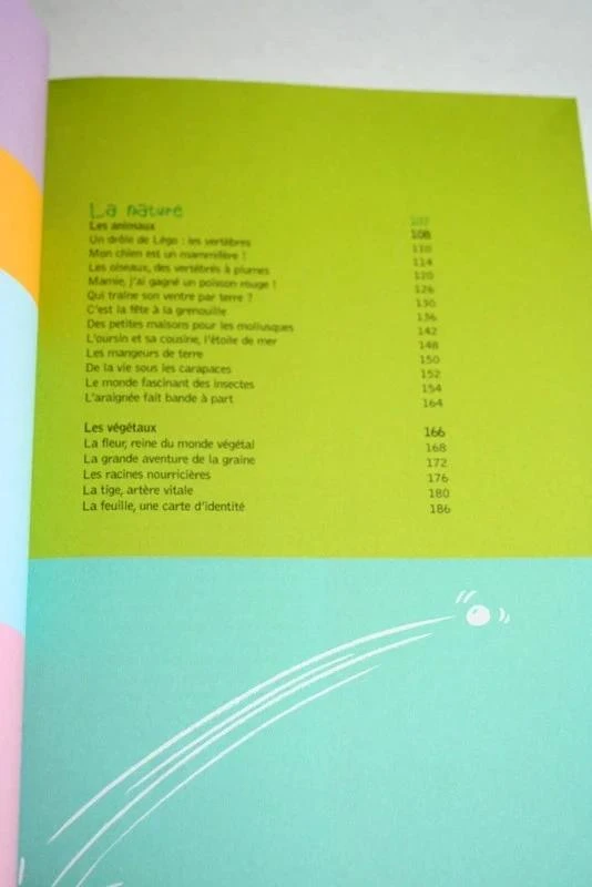 Livro "A quarta-feira da vovó" de Malou Schlosser – photo 4